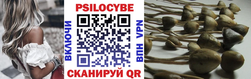 Купить Ершов Галлюциногенные грибы GOLDEN TEACHER